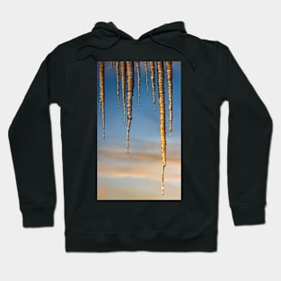 Icecycles In Front of a Sunrise Hoodie